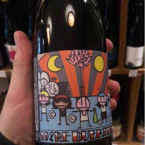 Beaujolais Villages Nouveau - Domaine de Botheland - Rémi Dufaitre & Laurence Liatard 