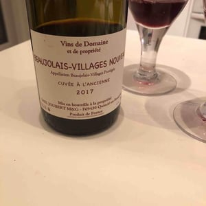 Beaujolais-Villages Nouveau - Domaine Marcel Joubert - carine-joubert