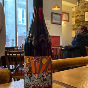 Beaujolais Villages Nouveau - Domaine de Botheland - Rémi Dufaitre & Laurence Liatard 