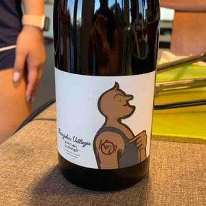 Beaujolais Villages - Karim Vionnet - karim-vionnet