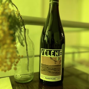 Beaujolais Villages - Séléné - Sylvère Trichard 