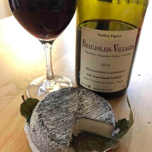 Beaujolais Villages Vieilles Vignes 2016