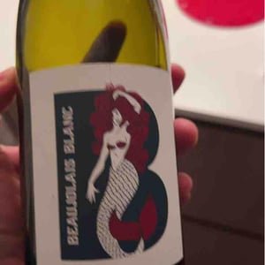 Beaujolais Blanc - Château de Grand Pré - Claude, Romain & Christine Zordan 