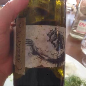 Domaine Pattes Loup - Thomas Pico - Beauregard