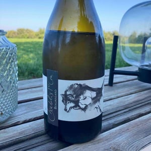 Beauregard - Domaine Pattes Loup - Thomas Pico 
