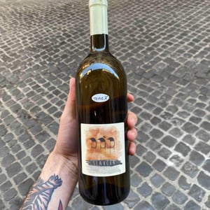 Belo - Slavček - franc-vodopivec