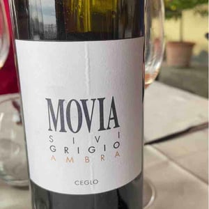Turno Belo - Movia - Aleš Kristančič 