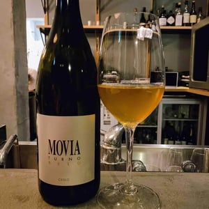 Turno Belo - Movia - Aleš Kristančič 