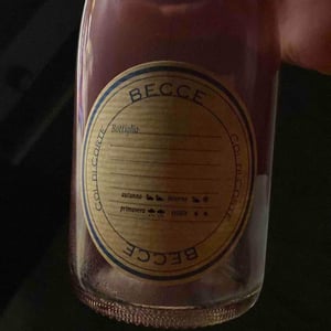 Becce - Col di Corte - Giacomo Rossi 