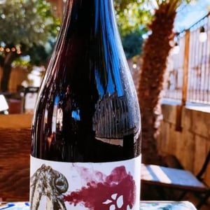 Beck Ink - Weingut Beck - Judith Beck 
