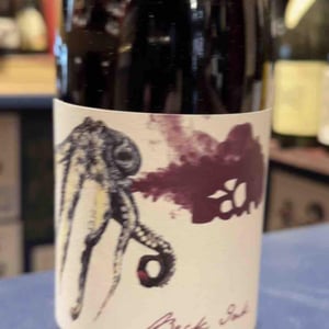 Beck Ink - Weingut Beck - judith-beck