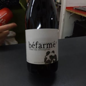 Béfarmé - L’Eau du Nénuphar - alexandre-langlois