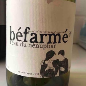 Béfarmé - L’Eau du Nénuphar - alexandre-langlois