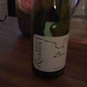 Bejaune - Domaine Rivaton - frederic-rivaton