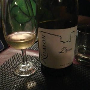 Domaine Rivaton - Frédéric Rivaton - Bejaune