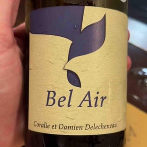 Bel Air - La Grange Tiphaine - Coralie & Damien Delécheneau 