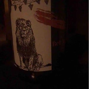 Bel Air Fauve Rouge - Château Terre Fauve - Morgane Jouan & Nicolas Baudet 