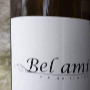Bel Ami - Ludovic Chanson - ludovic-chanson