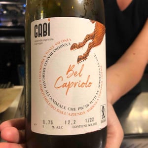 Bel capriolo - Gabì - Gabrijel Cernigoi -2022