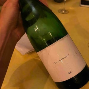 Bel - Milan Nestarec - Milan Nestarec 