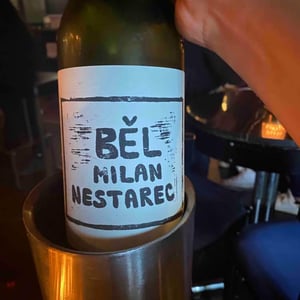 Bel - Milan Nestarec - milan-nestarec