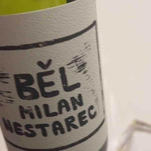 Milan Nestarec - Milan Nestarec - Bel