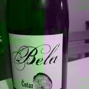 Bela - Čotar - Branko & Vasja Čotar 