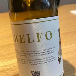 Belfo - Arribas Wine Company - ricardo-alves-frederico-machado -2020