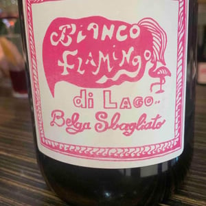 Belga Sbagliato - Vino di Proceno - Sebastien Samoye -2020