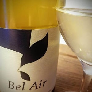 Bel Air - La Grange Tiphaine - coralie-damien-delecheneau