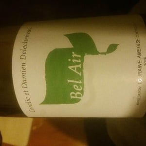 Bel Air - La Grange Tiphaine - coralie-damien-delecheneau