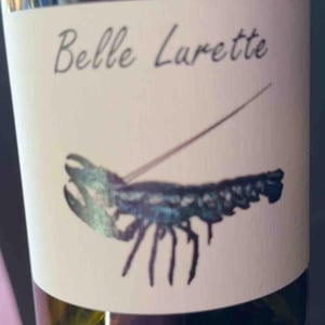 Belle Lurette - Domaine de La Belle - delphine-et-gilles-vazeux -2022