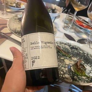 Belle Vignole - Tenuta Macchiarola - Domenico Mangione 