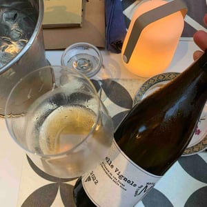 Belle Vignole - Tenuta Macchiarola - Domenico Mangione 