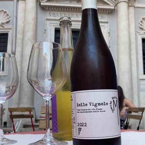 Belle Vignole - Tenuta Macchiarola - Domenico Mangione 