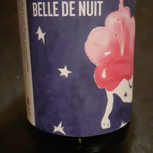 Belles de Nuit - Mille et Une Nuits - Leila Pailhès & Marc Gauthier 