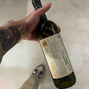 BelloRibelle - Tenuta Ca’ Sciampagne - Leonardo Cossi, Paola Grillo 