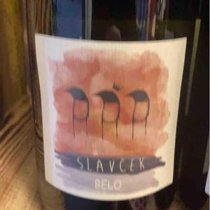 Belo - Slavček - Franc Vodopivec 