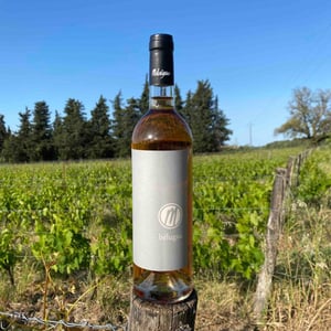 Bélugue - Domaine de Malaïgue - francois-reboul