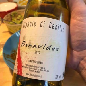 Benavides - Vignale di Cecilia - paolo-brunello