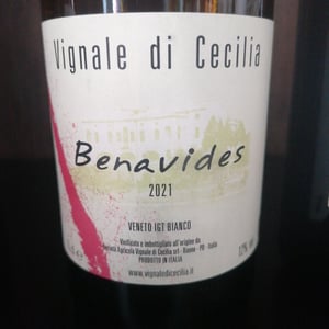 Benavides - Vignale di Cecilia - paolo-brunello