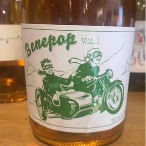 Benepop - Terra Di Briganti - Filomena Casbarra -2020