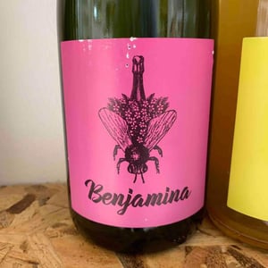Benjamina Pet Nat - Artesano Vintners - Mike Shepherd & Alex Craighead 