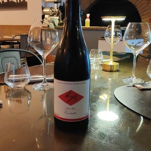 Benje Tinto - Envínate - roberto-santana-alfonso-torrente-laura-ramos-jose-martinez