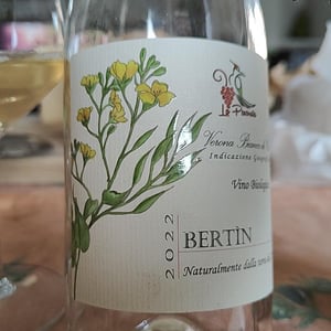 Bertin 2022