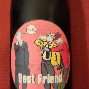 Best friend (new label) - Weingut Pittnauer - gerhard-brigitte-pittnauer -2021