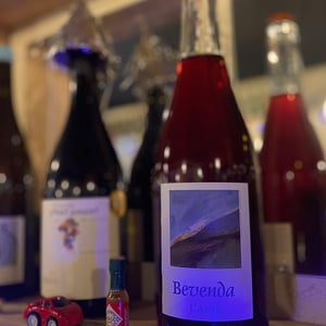Bevenda - Domaine de l'Astré - aude-duval-et-sylvain-ohayon -2022