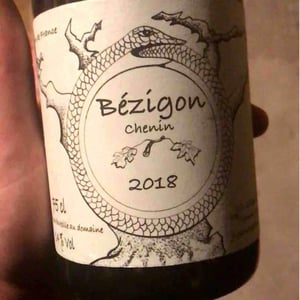 Jean-Christophe Garnier - Jean-Christophe Garnier - Bézigon