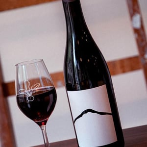 BFF - Joiseph Weingut - richard-artner-xandl-kagl-luka-zeichmann