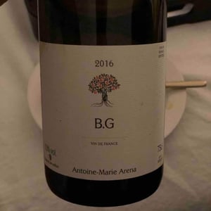 BG 2016